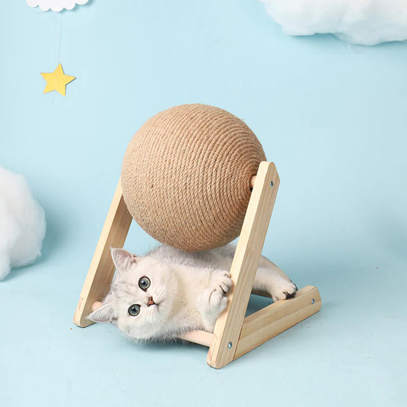 Cat Toy