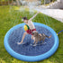 Pet Fountain Swimming Pool