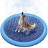 Pet Fountain Swimming Pool