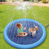 Pet Fountain Swimming Pool