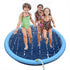 Pet Fountain Swimming Pool