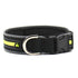 Adjustable Illuminated Nylon Pet Collar