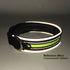 Adjustable Illuminated Nylon Pet Collar