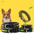 Adjustable Illuminated Nylon Pet Collar