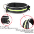 Adjustable Illuminated Nylon Pet Collar