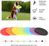 Pet Toy Frisbee Silicone floppy disk non-slip chew toy