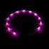 LED Light-up Dog Collar