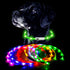 LED Light-up Dog Collar