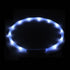 LED Light-up Dog Collar