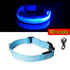 Night Luminous Anti-lost Pet Collar