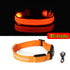 Night Luminous Anti-lost Pet Collar