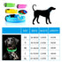 Night Luminous Anti-lost Pet Collar