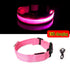 Night Luminous Anti-lost Pet Collar