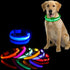 Night Luminous Anti-lost Pet Collar