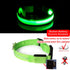 Night Luminous Anti-lost Pet Collar