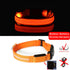 Night Luminous Anti-lost Pet Collar