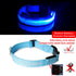 Night Luminous Anti-lost Pet Collar