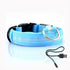 Night Luminous Anti-lost Pet Collar