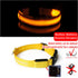 Night Luminous Anti-lost Pet Collar