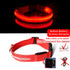 Night Luminous Anti-lost Pet Collar