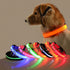 Night Luminous Anti-lost Pet Collar