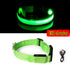 Night Luminous Anti-lost Pet Collar