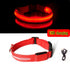 Night Luminous Anti-lost Pet Collar