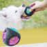 Pet Toy Twinkling Durable Elastic Ball