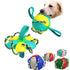 Pet Toy Multi functional pet Football