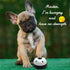 Pet Toy Training Pet Call Feeding Reminder