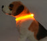 USB Illuminated Night Light Pet Dog Collar